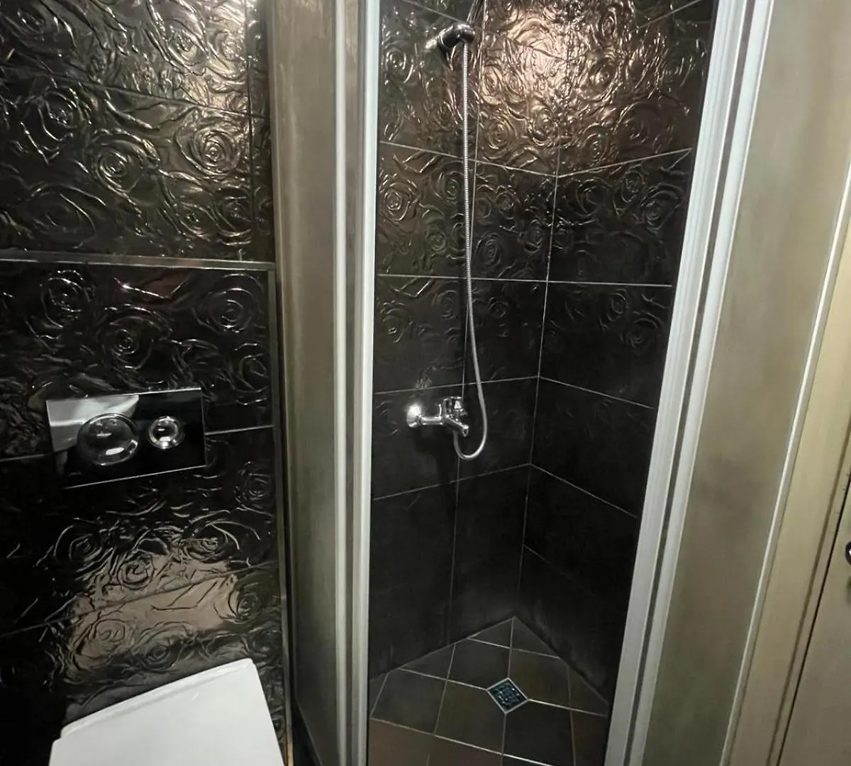 Einstein Apartment Sofya